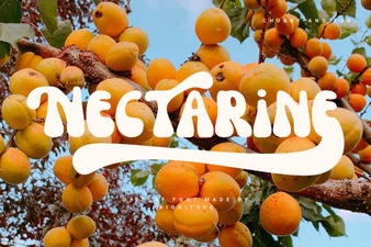 Introducing Nectarine: a Friendly Font for Designers