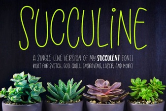 Succuline: a Minimalist Font for Modern Design
