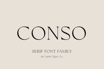 Conso Font: a Modern Guide for Designers and Developers